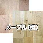 メープル（楓）