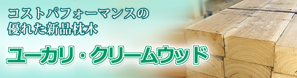 ユーカリ・クリームウッド