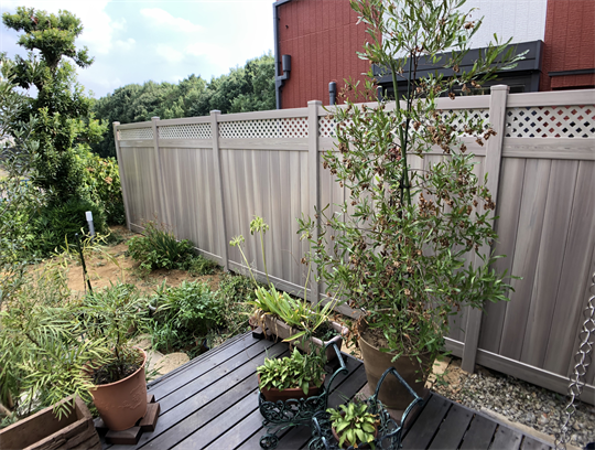 【SO-21】ソリッドプライバシーwithラチス(ハニーメープル)